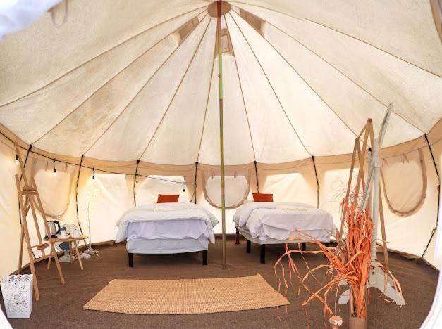 Safari Desert Camp Shahiq ภายนอก รูปภาพ
